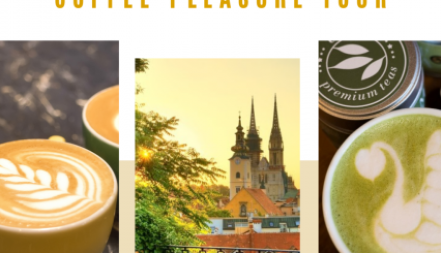 Discover the world with a guide