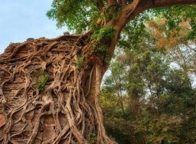 Discover the world with a guide