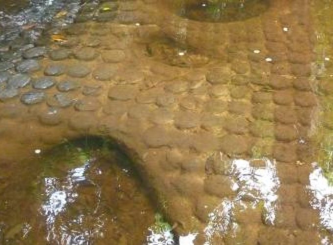 Discover the world with a guide