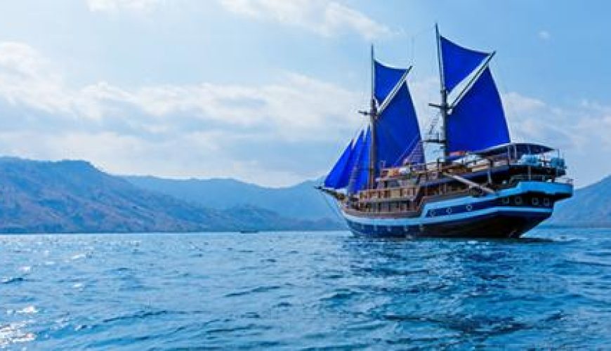 Discover the world with a guide