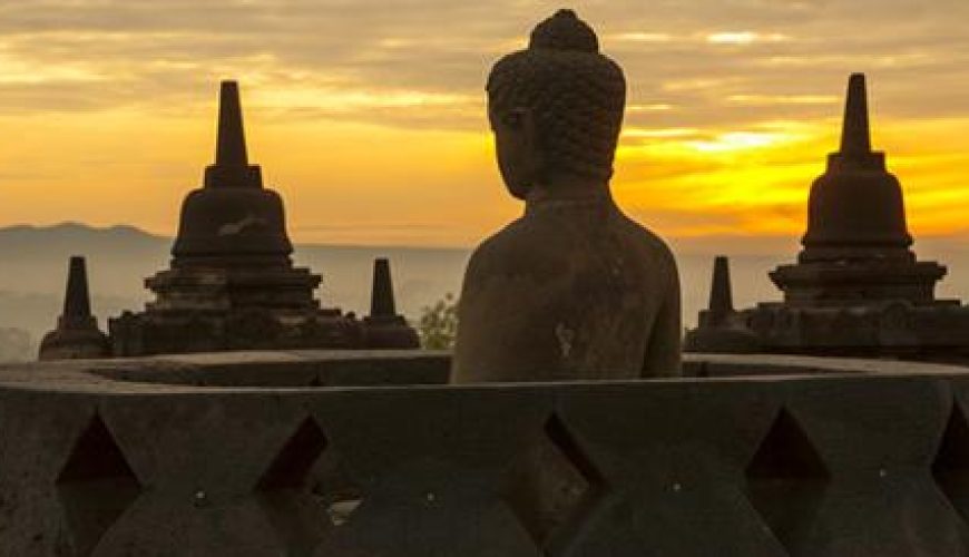 Discover the world with a guide