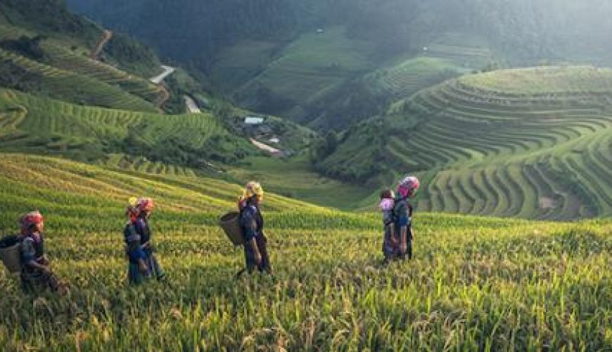 Discover the world with a guide