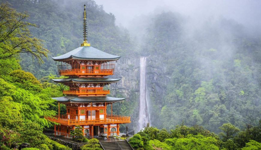 Discover the world with a guide