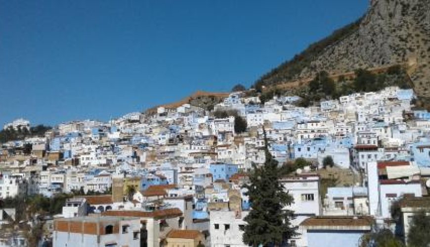 Discover the world with a guide