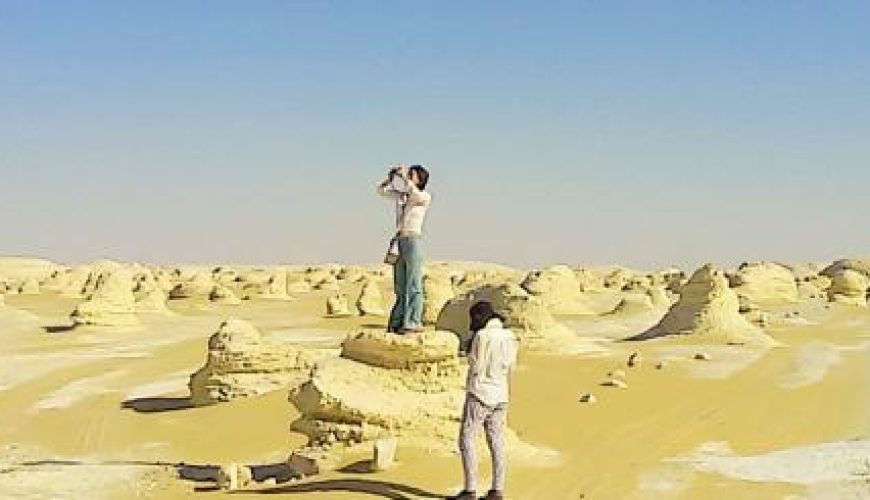 Discover the world with a guide