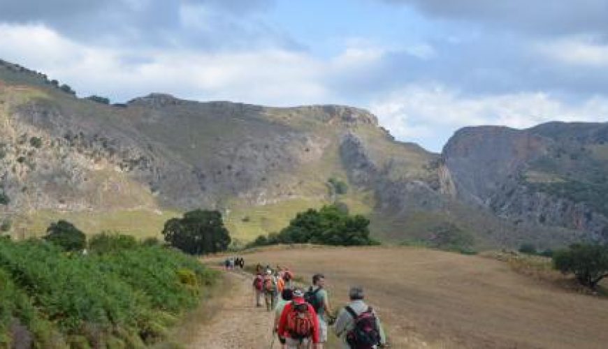 Discover the world with a guide
