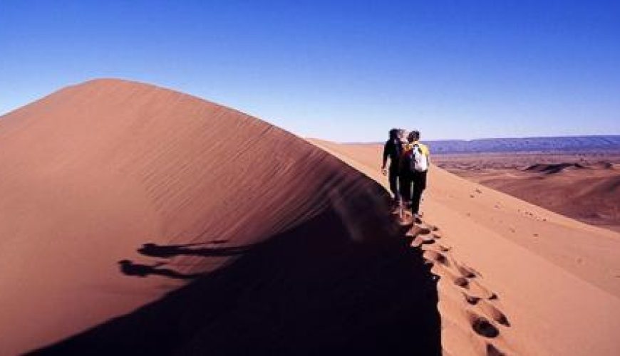 Discover the world with a guide