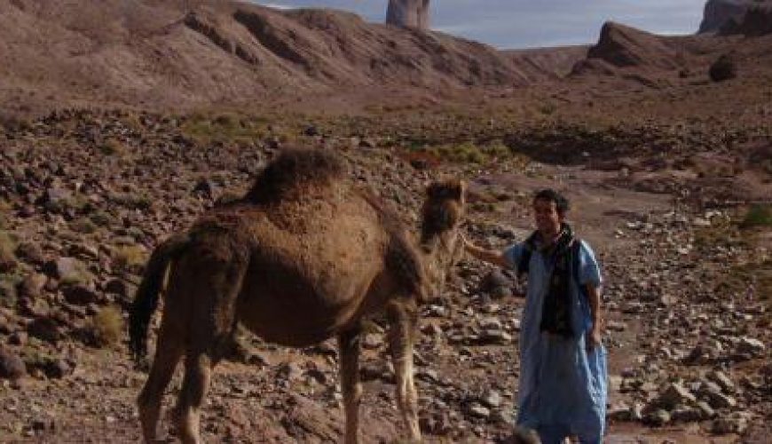 Discover the world with a guide