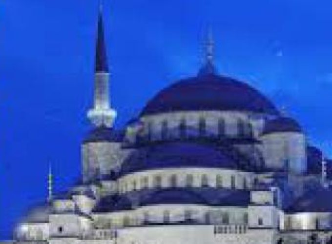 Discover the world with a guide