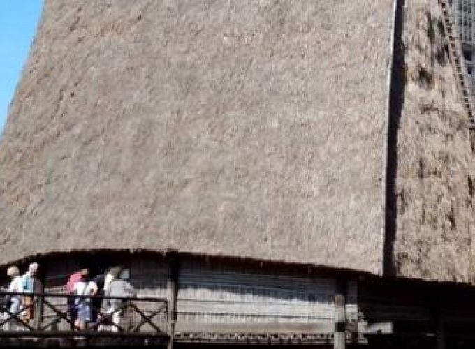 Discover the world with a guide