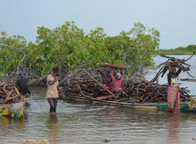 Discover the world with a guide