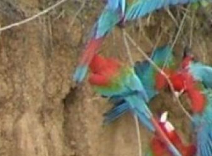 Discover the world with a guide