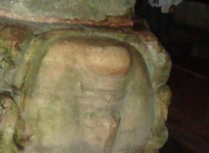 Discover the world with a guide