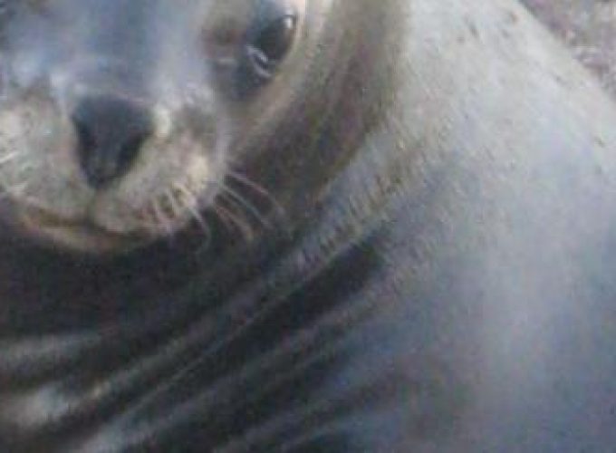 Discover the world with a guide