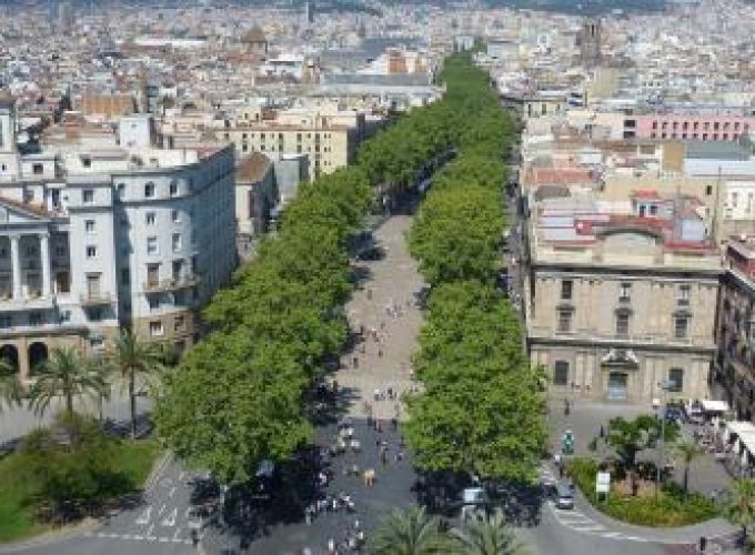 Discover the world with a guide