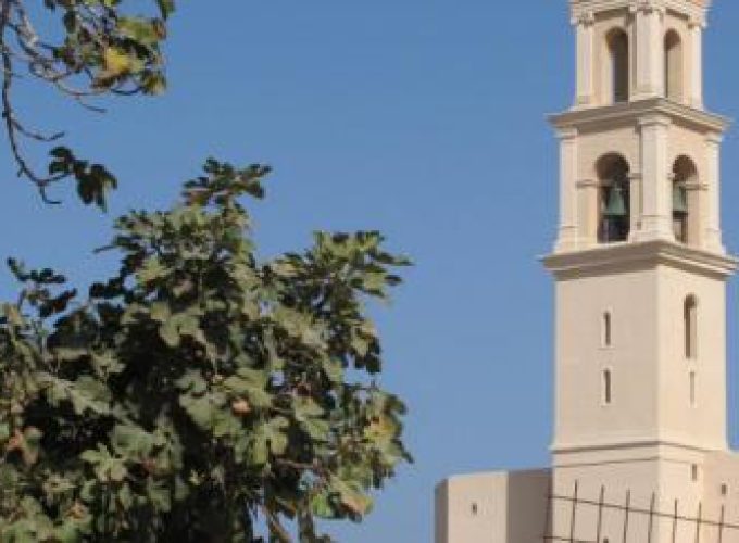 Discover the world with a guide