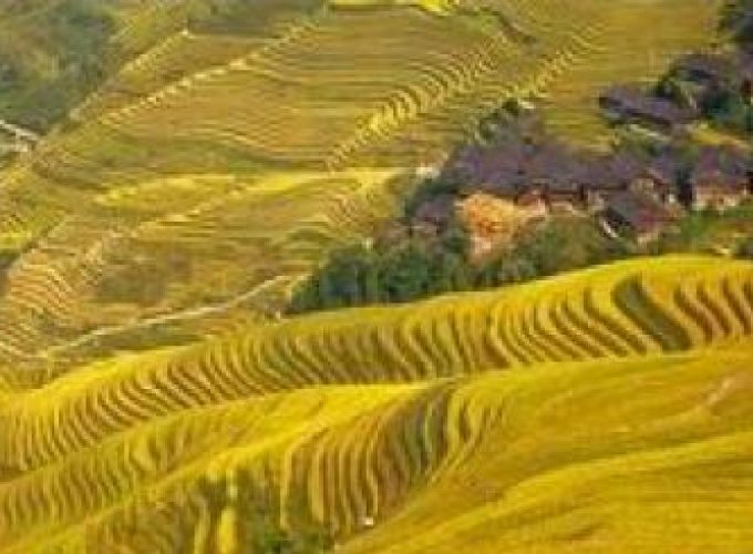 Discover the world with a guide