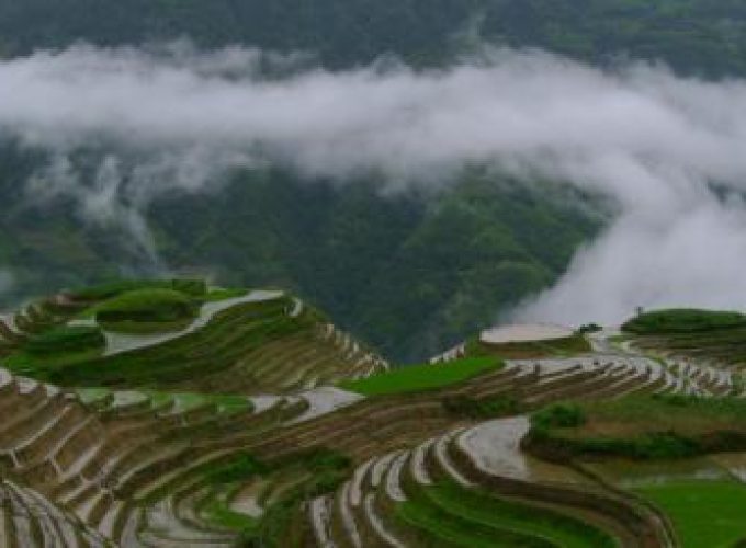 Discover the world with a guide