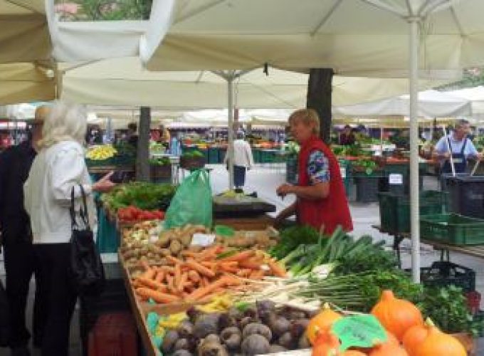 Discover the world with a guide