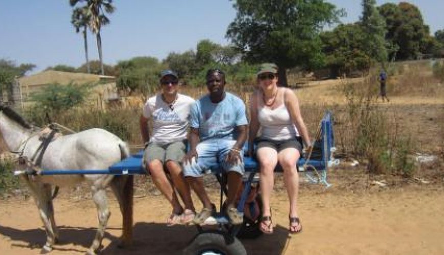 Discover the world with a guide