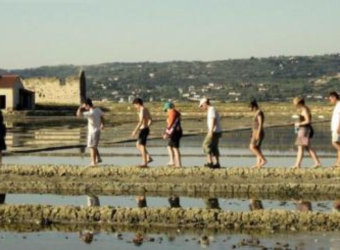 Discover the world with a guide