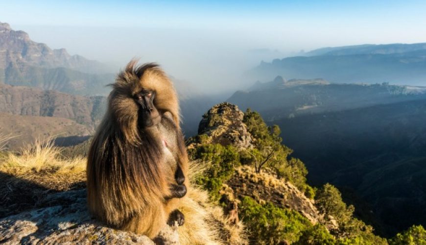 Discover the world with a guide