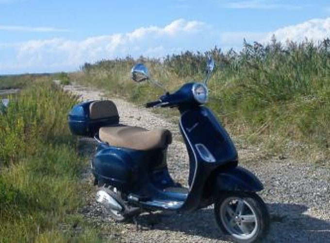 Discover the world with a guide