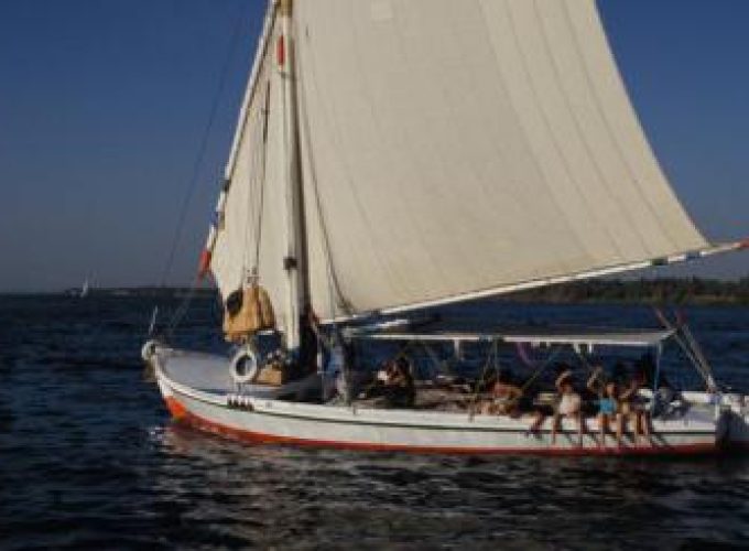 Discover the world with a guide