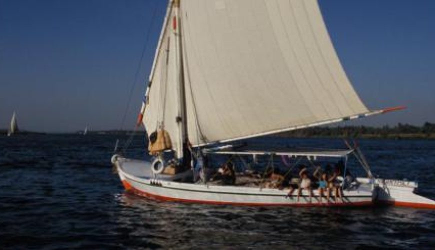 Discover the world with a guide