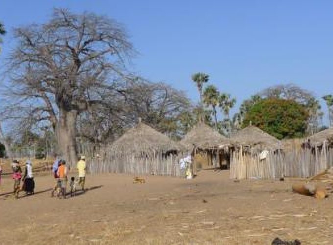 Discover the world with a guide