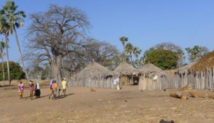 Discover the world with a guide