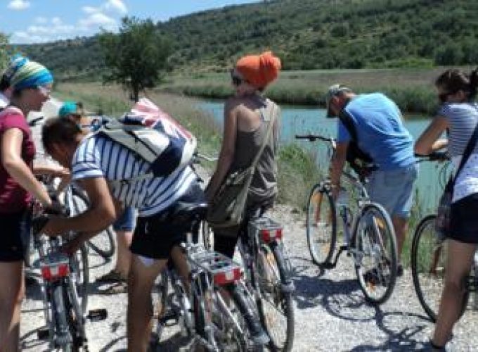 Discover the world with a guide