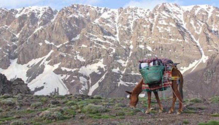 Discover the world with a guide