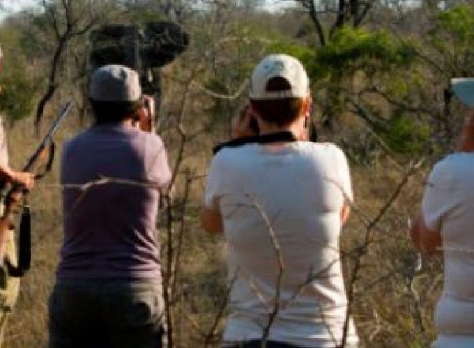 Discover the world with a guide