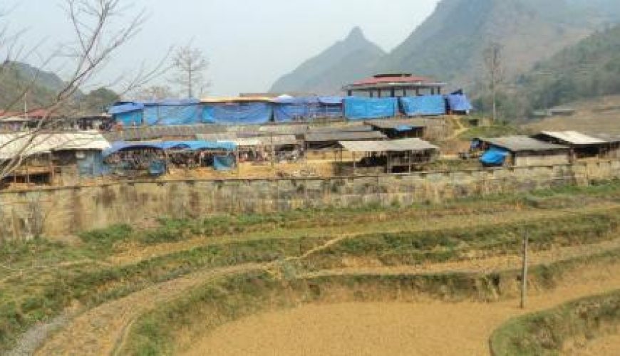 Discover the world with a guide