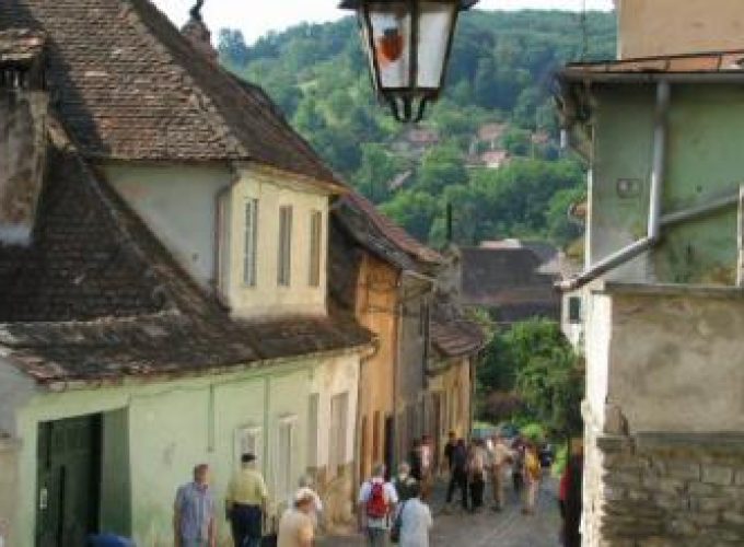 Discover the world with a guide