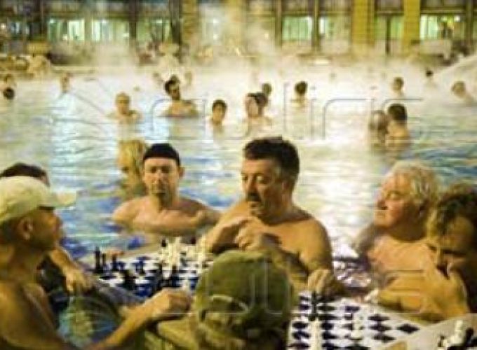 Discover the world with a guide