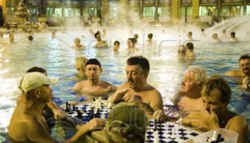 Discover the world with a guide