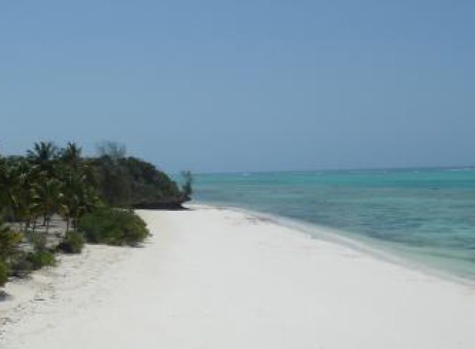 Discover the world with a guide