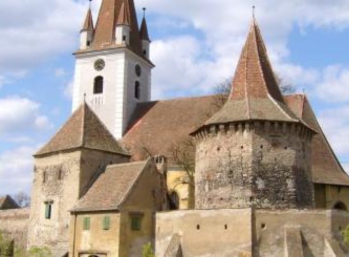 Discover the world with a guide