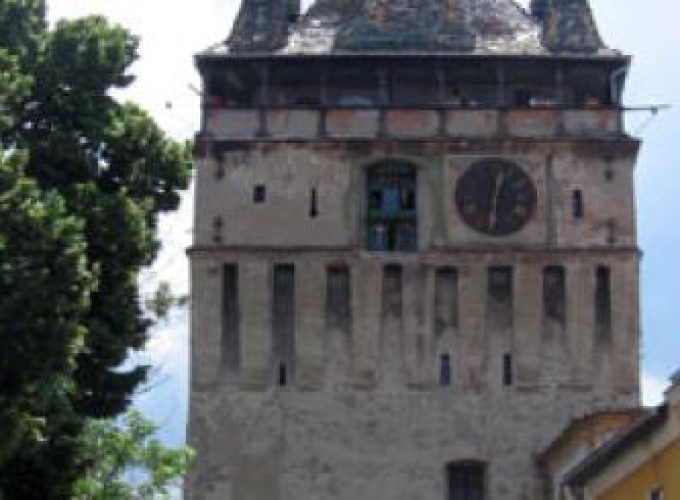 Discover the world with a guide