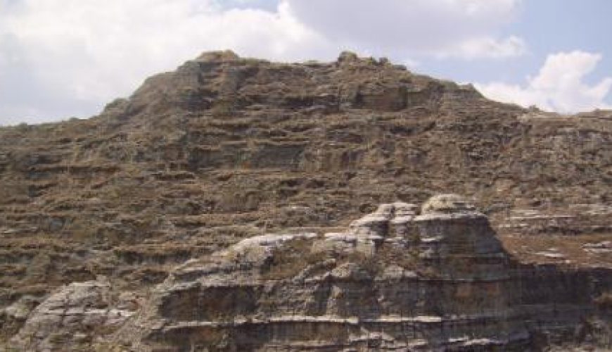 Discover the world with a guide