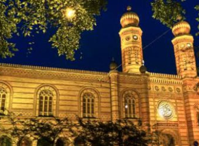 Discover the world with a guide