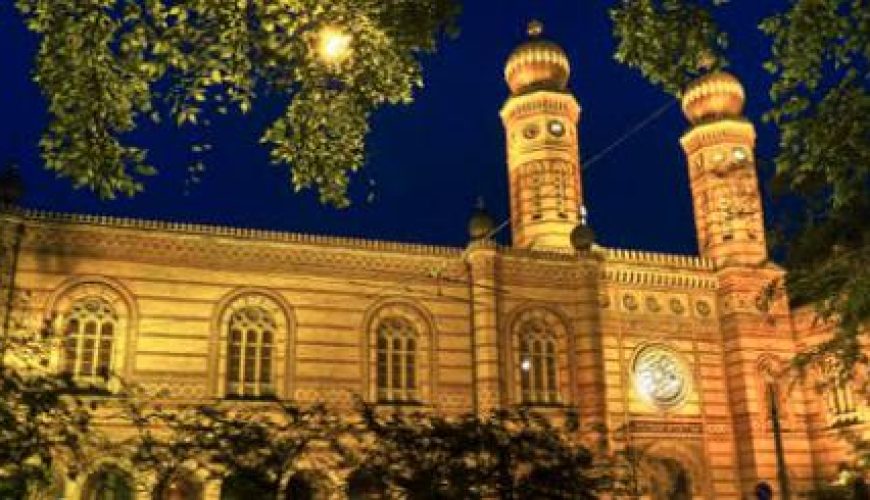 Discover the world with a guide