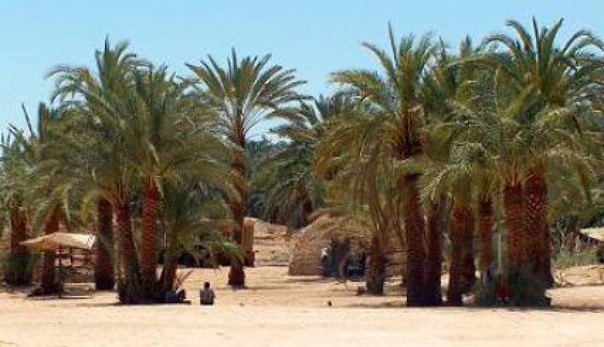 Discover the world with a guide