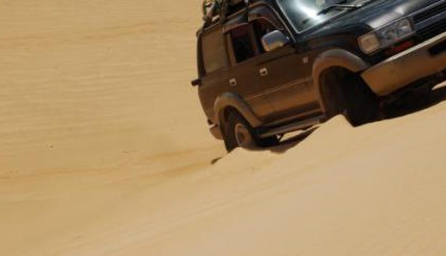 Discover the world with a guide