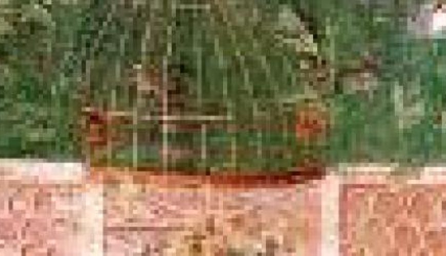 Discover the world with a guide