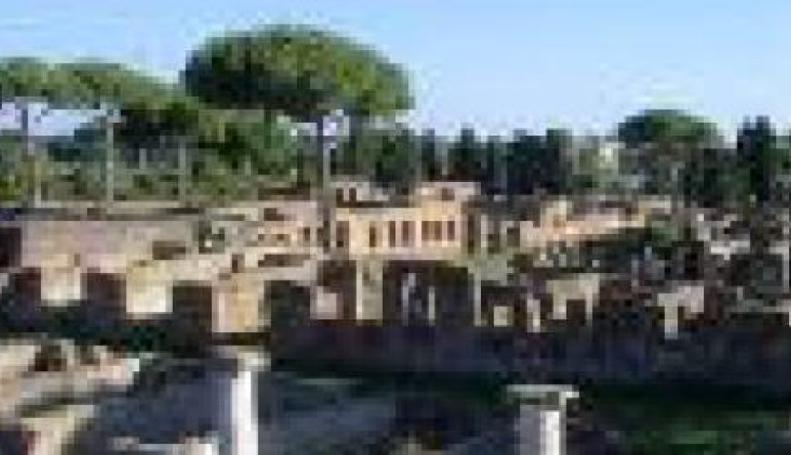 Discover the world with a guide