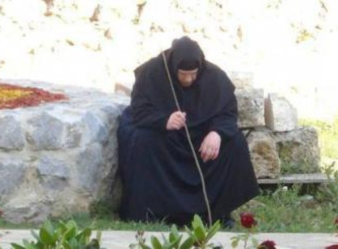 Discover the world with a guide