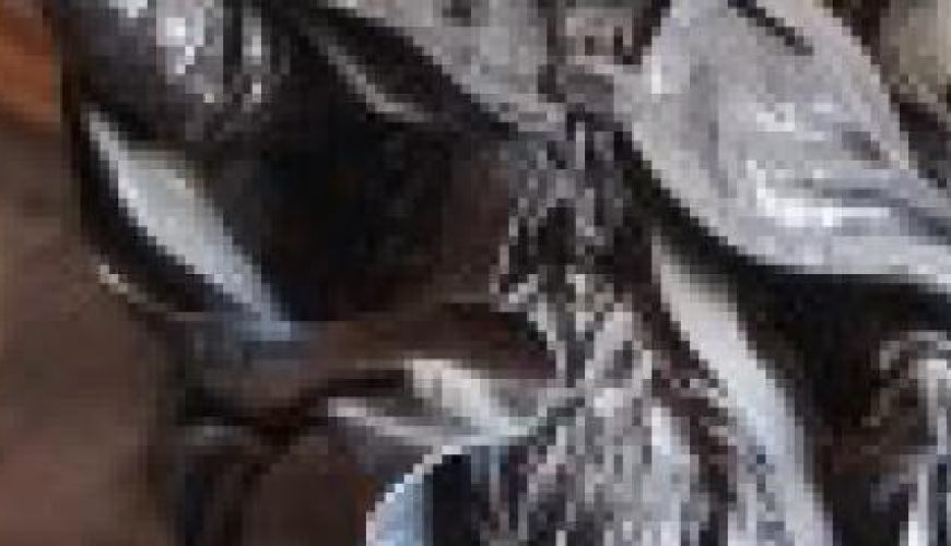 Discover the world with a guide